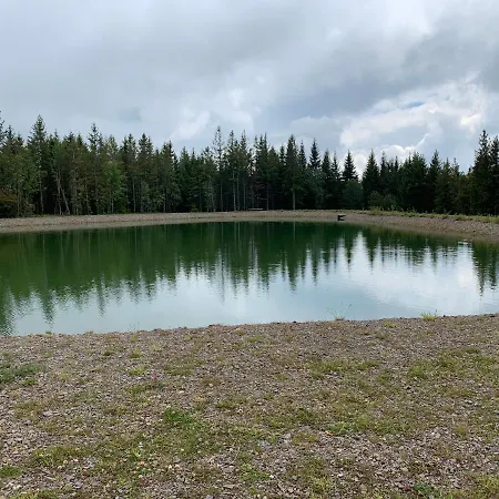 Residenz Schauinsland - 17 - Sauna - Spielzimmer Für - Nähe Feldberg