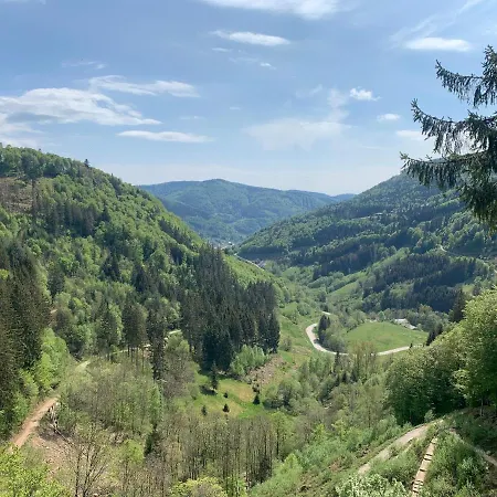 Residenz Schauinsland - 17 - Sauna - Spielzimmer Für - Nähe Feldberg