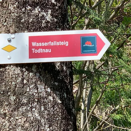 Residenz Schauinsland - 17 - Sauna - Spielzimmer Fuer - Naehe Feldberg Lejlighed *