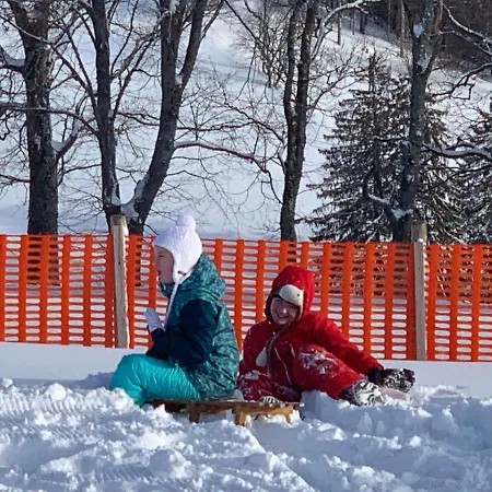 Residenz Schauinsland - 17 - Sauna - Spielzimmer Für - Nähe Feldberg * Todtnauberg