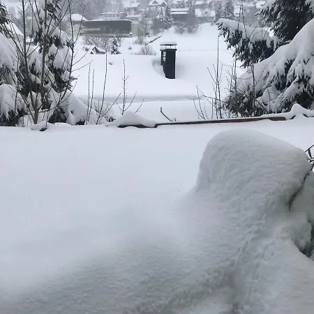 Apartamento Residenz Schauinsland - 17 - Sauna - Spielzimmer Für - Nähe Feldberg